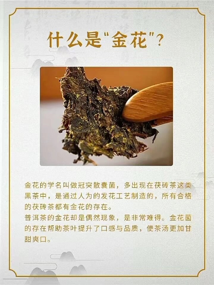 适宜普遍群体