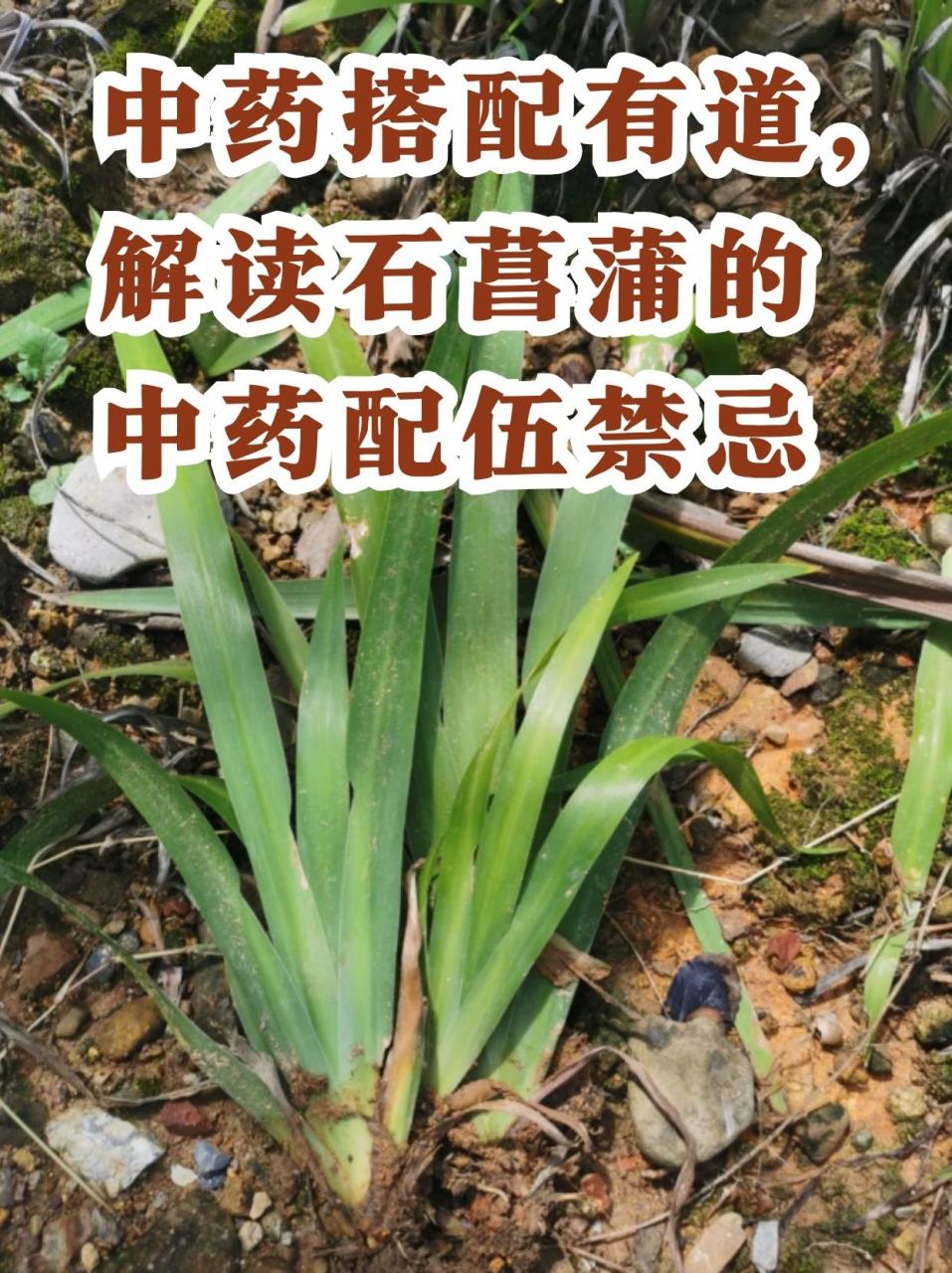 传统与现代的结合