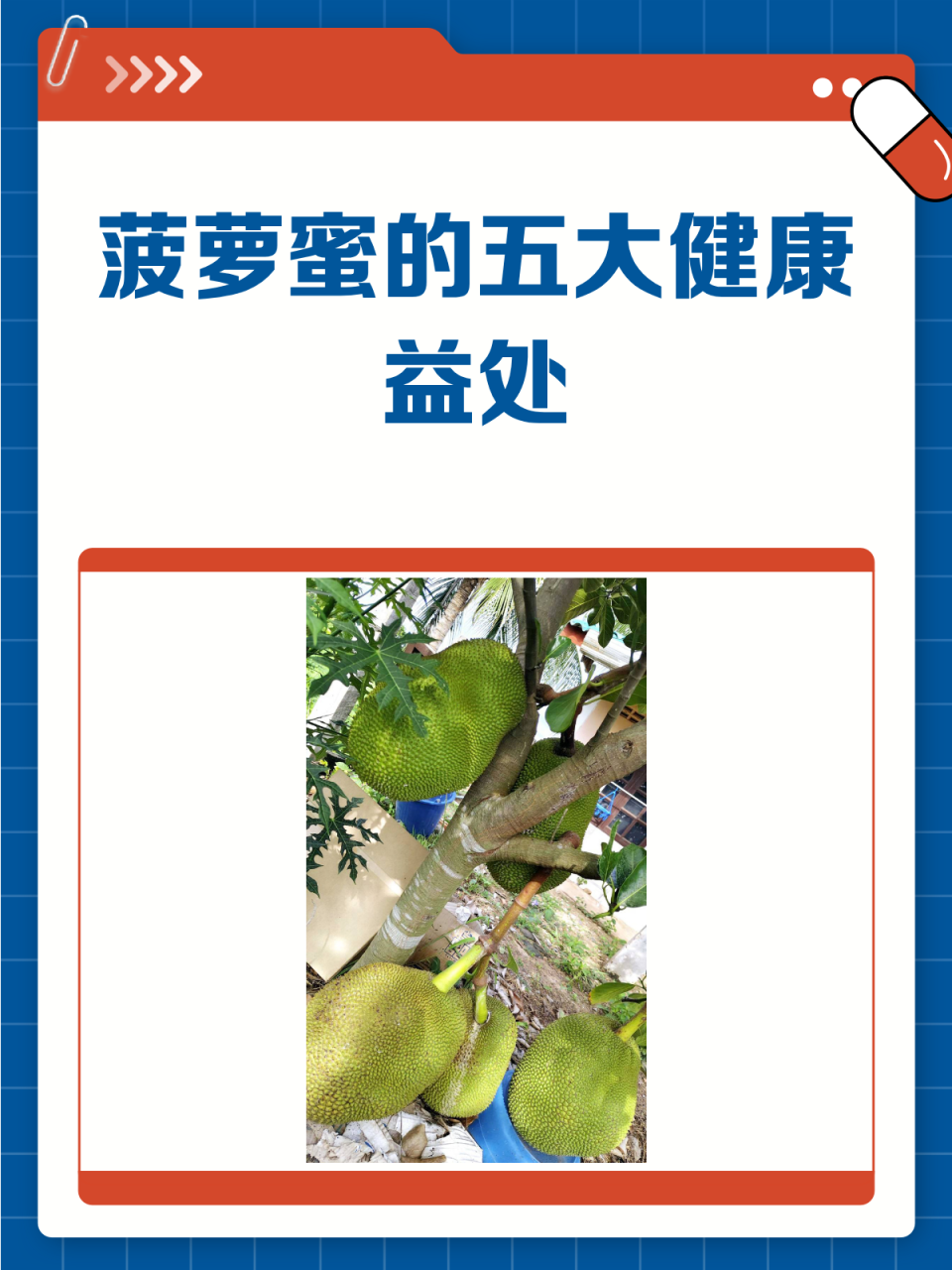 低热量高饱腹感