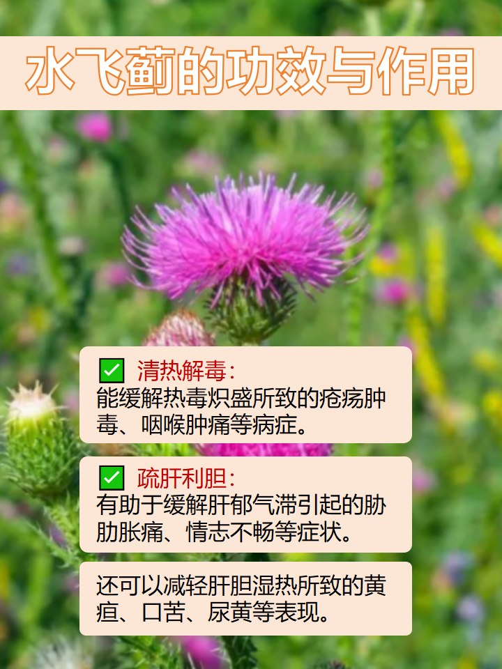 日常生活中的健康伙伴