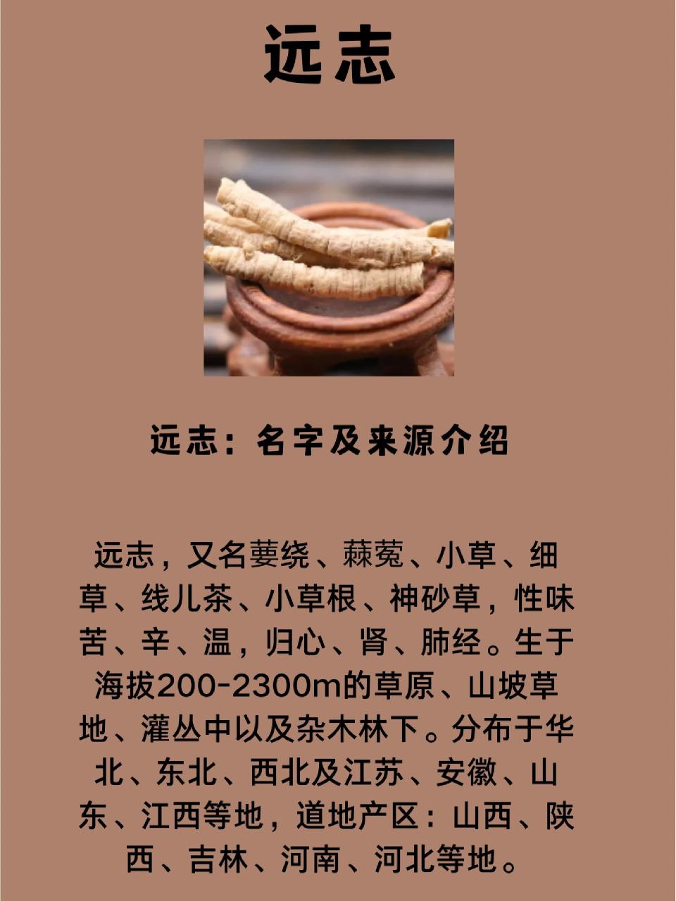 如何正确使用远志