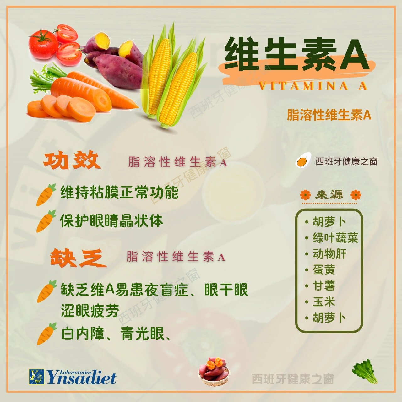 日常如何科学摄入维生素A？