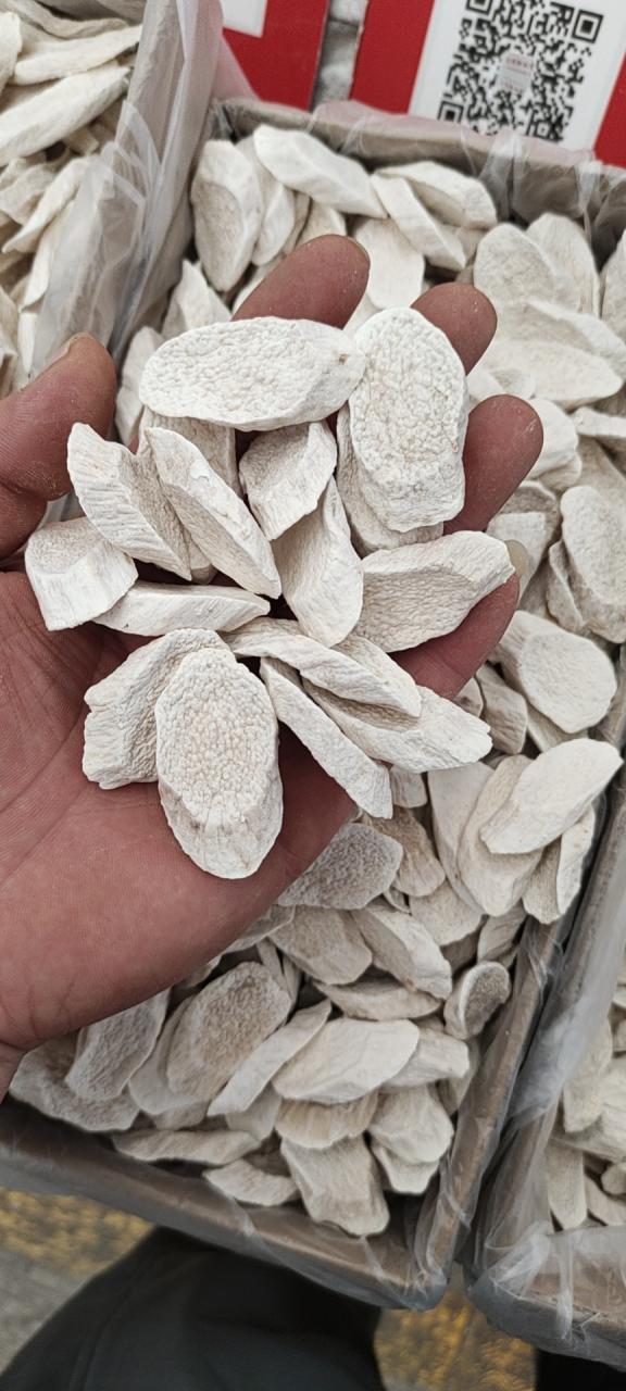 选购与注意事项