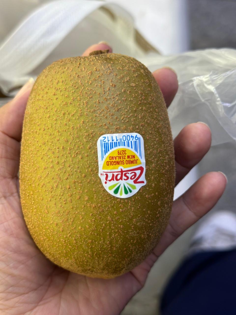 促进消化和肠道菌群