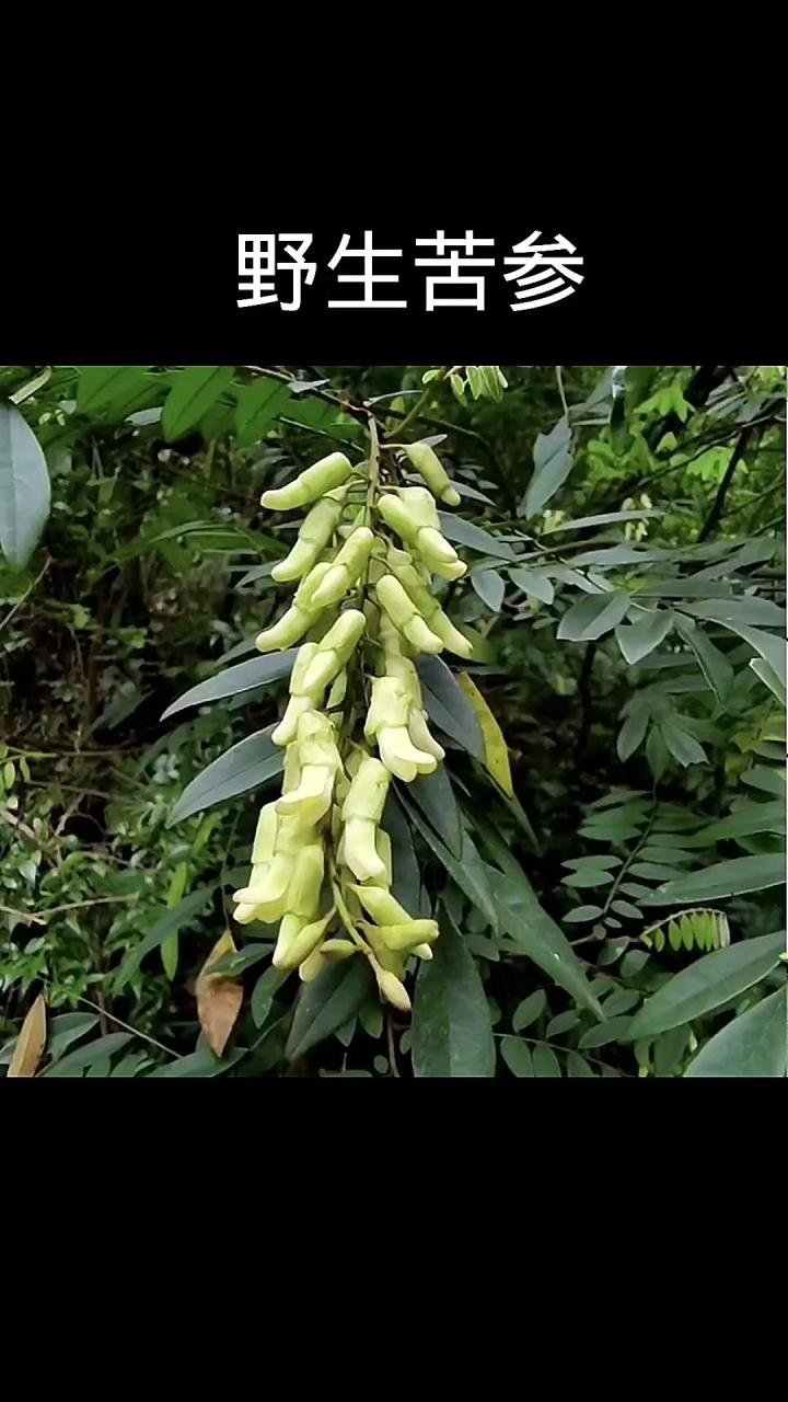 合理使用,发挥最大功效