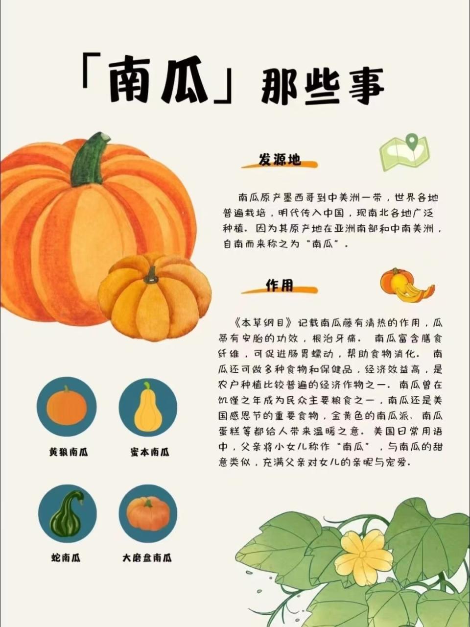 降低血糖,南瓜是糖尿病患者的理想食物