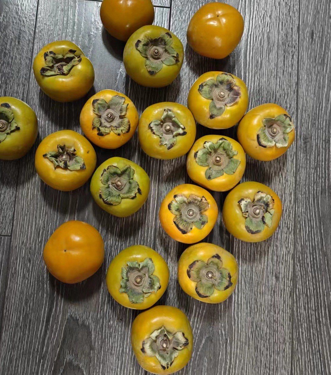 助力消化与肠道健康