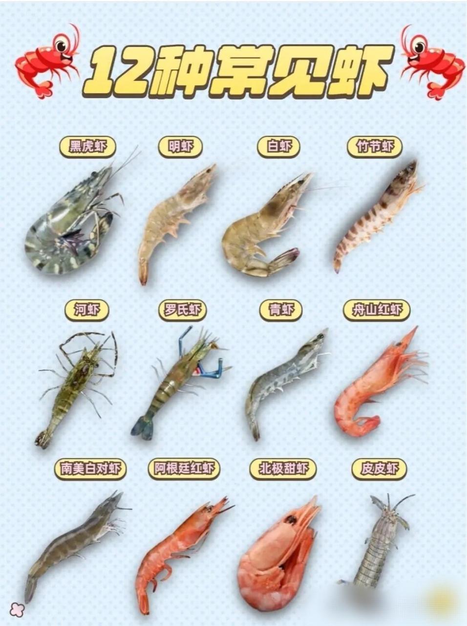 合理配置，充分运用较大营养成分