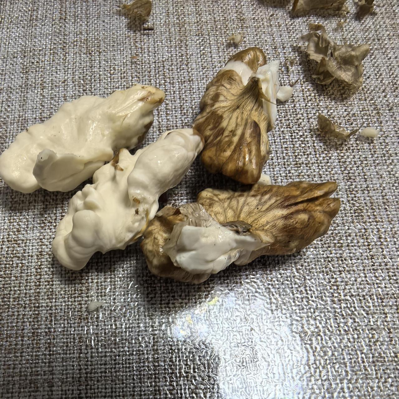 小小核桃,大大好处