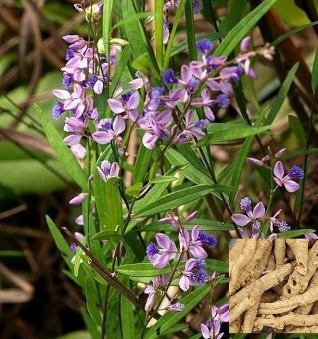 提升记忆力,增强脑力