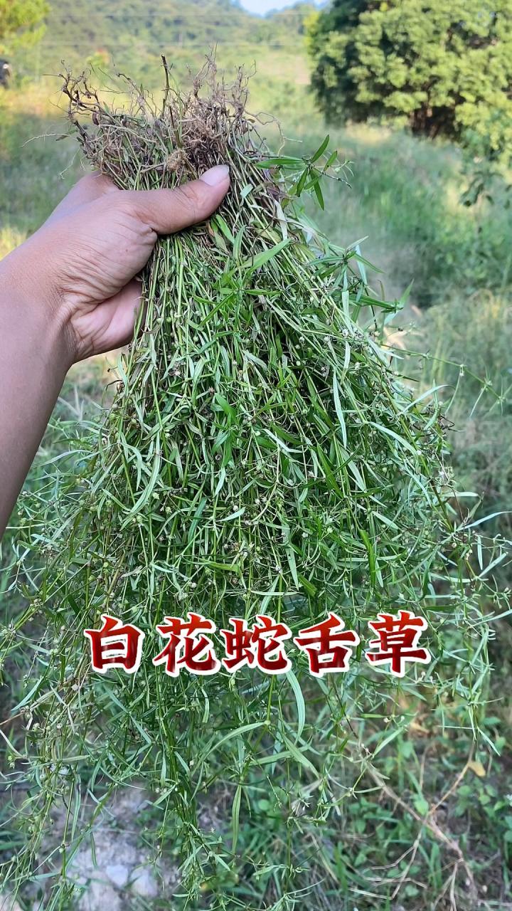 健康的好处不可忽视