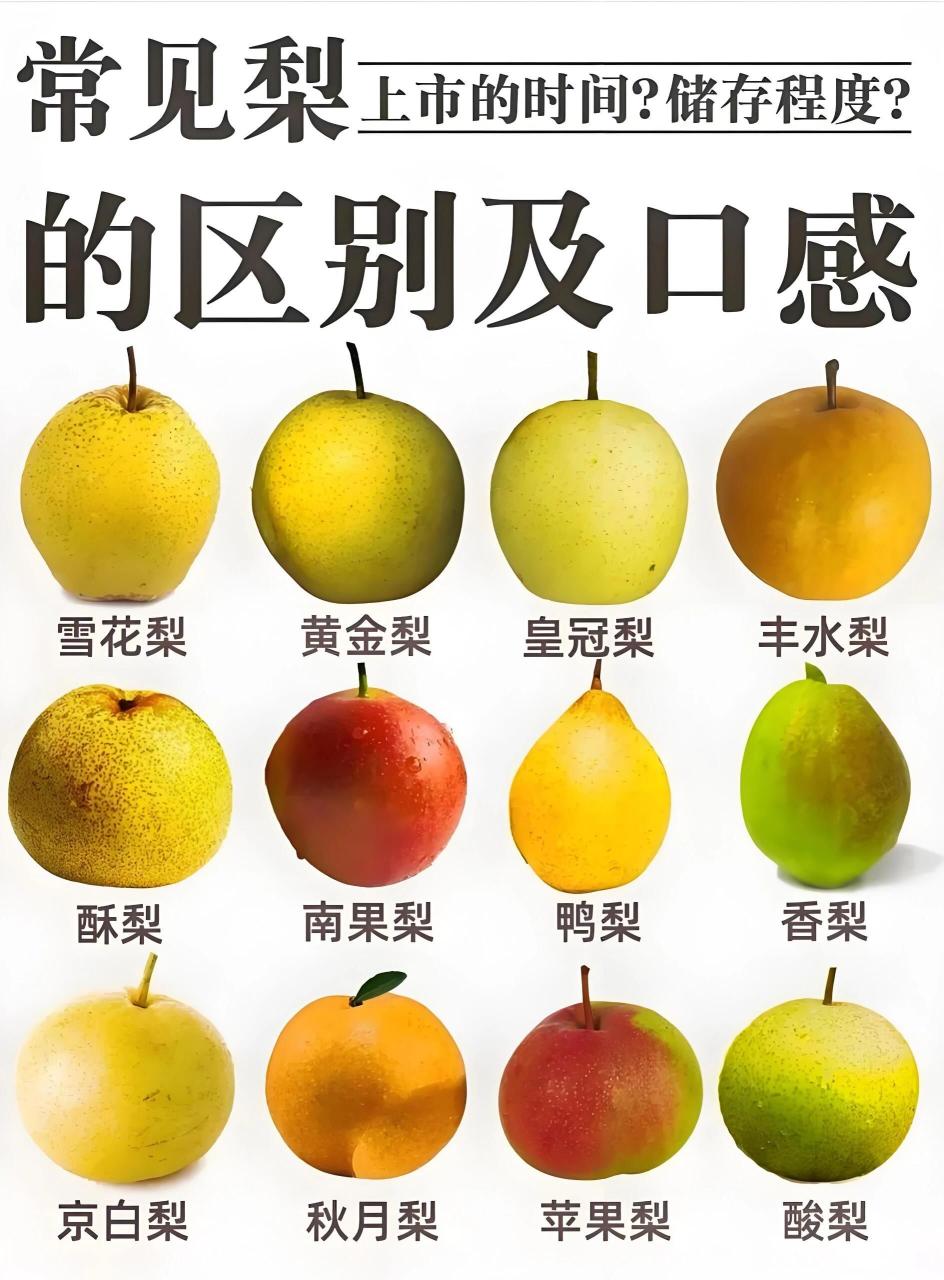 富含维生素,增强免疫力