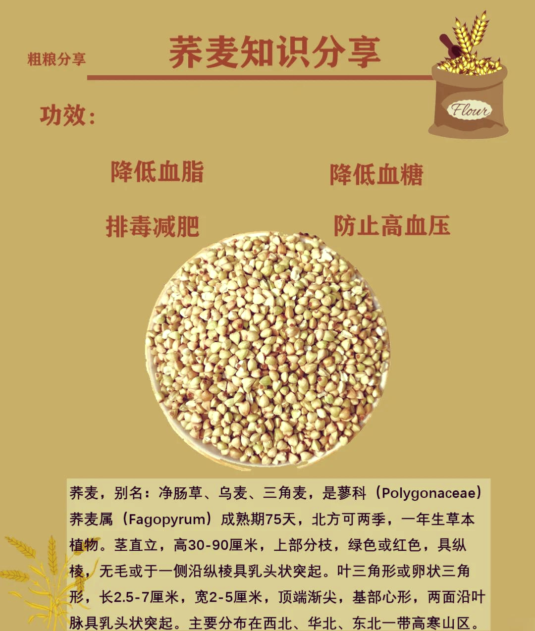 有助于调节血糖和血脂