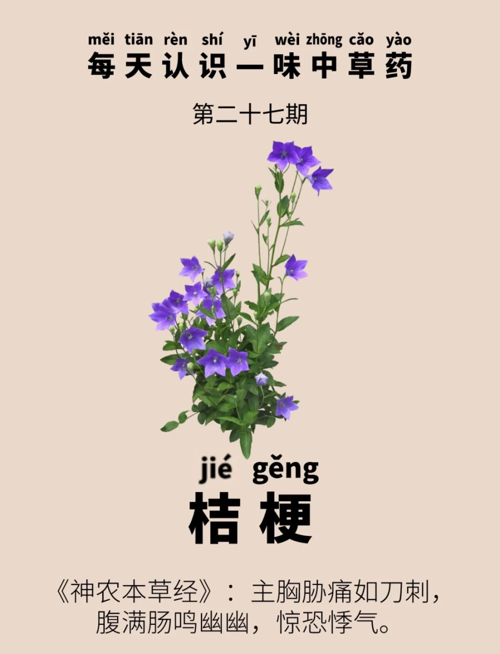 三、美容养颜,提升肌肤状态