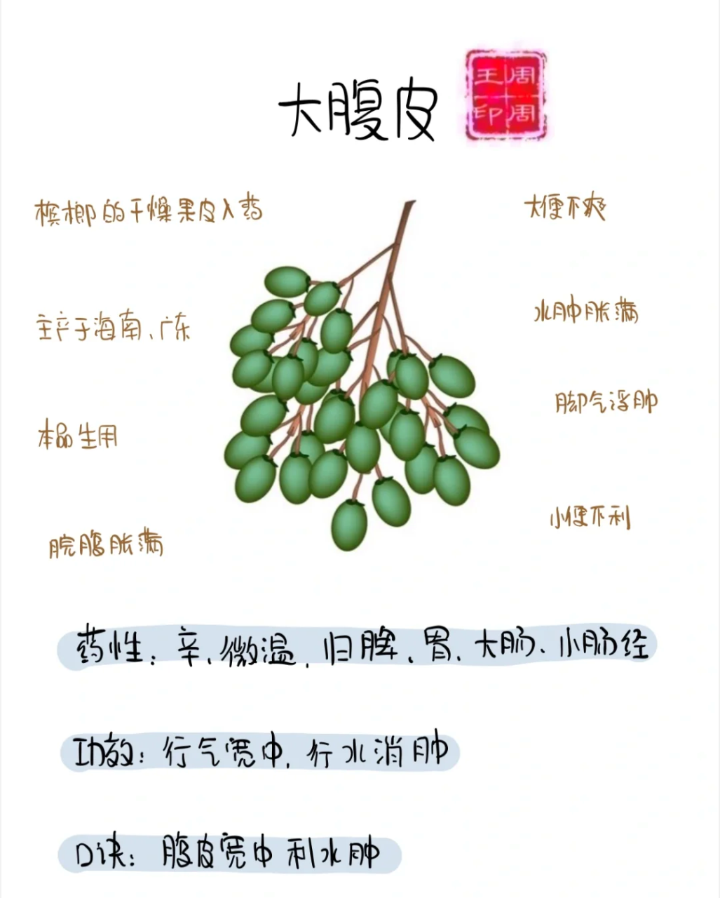 日常保健的实用小妙招