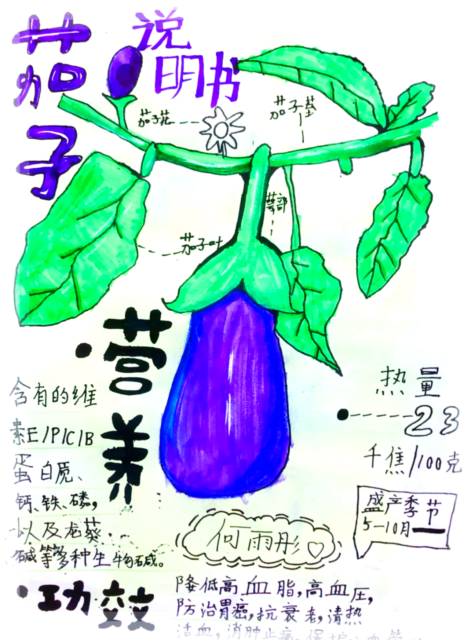 有助于降低胆固醇