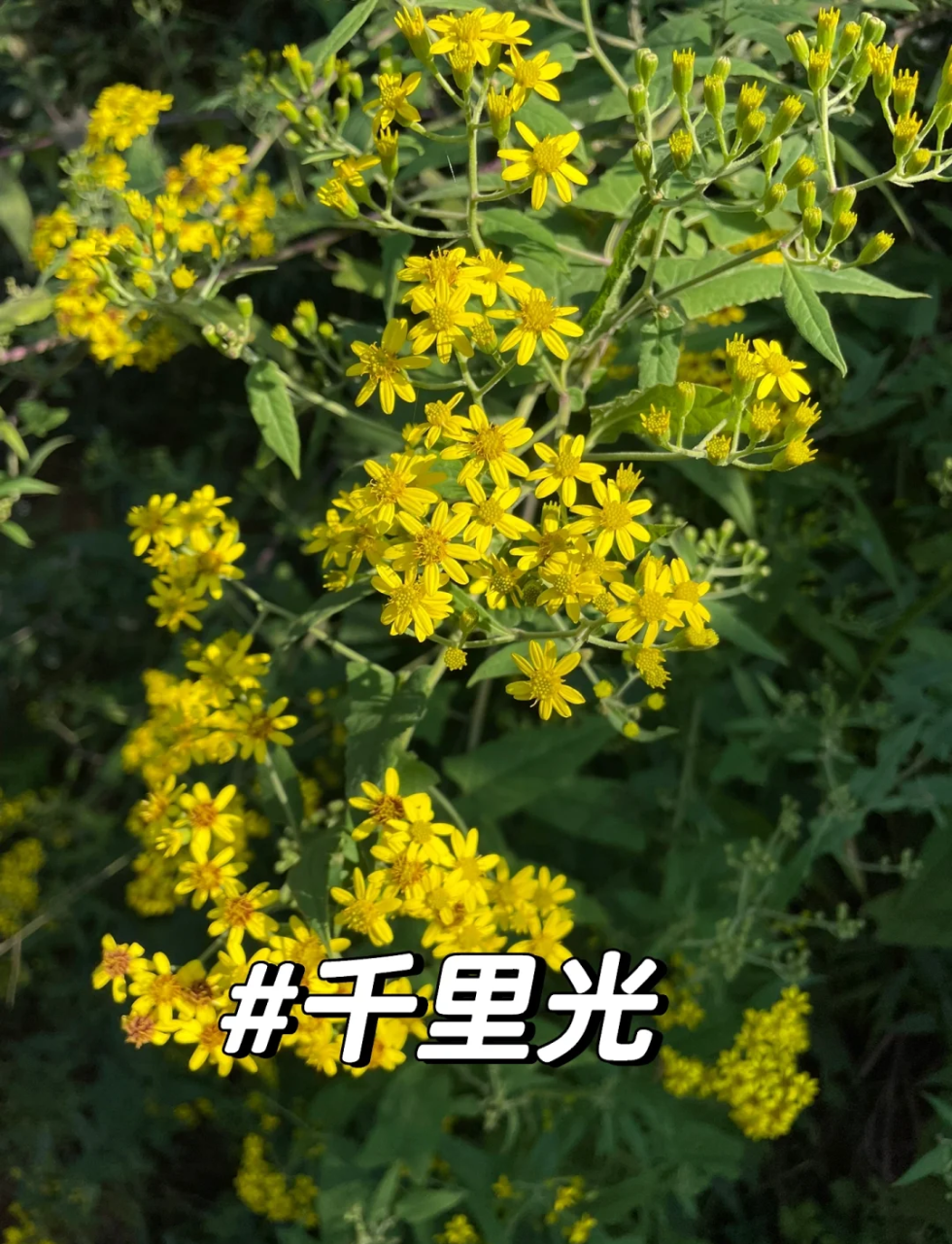 选择与使用需谨慎