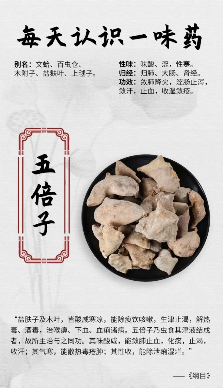 抗菌抗氧化,提升免疫力