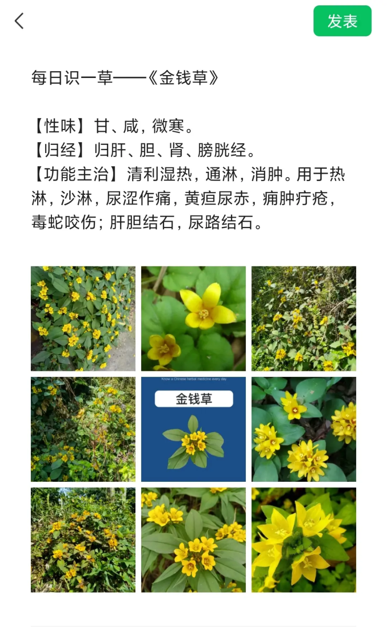 常见用途有哪些?