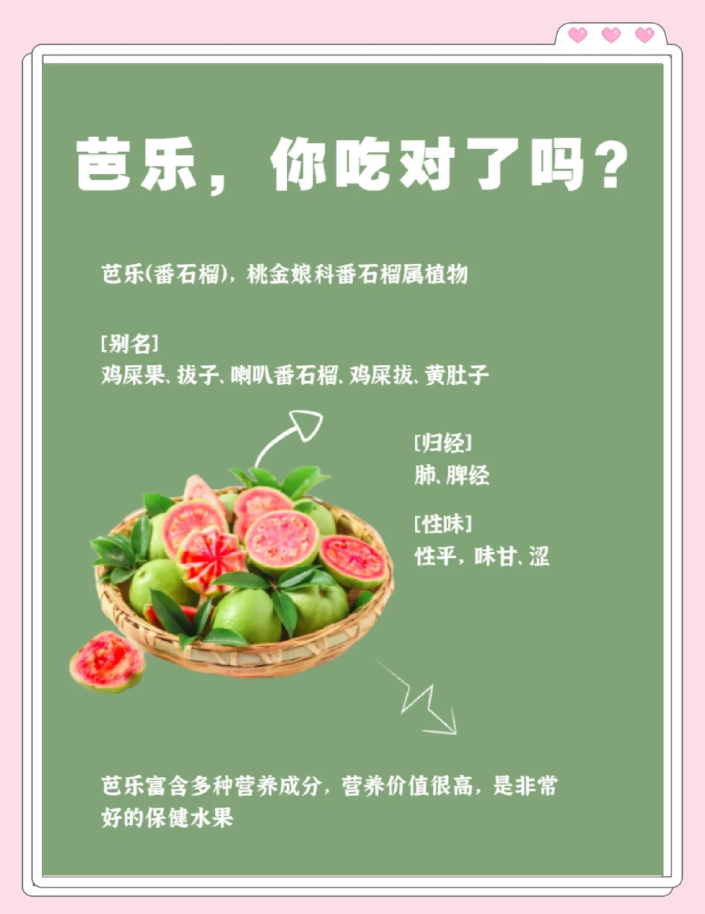 促消化和肠道菌群