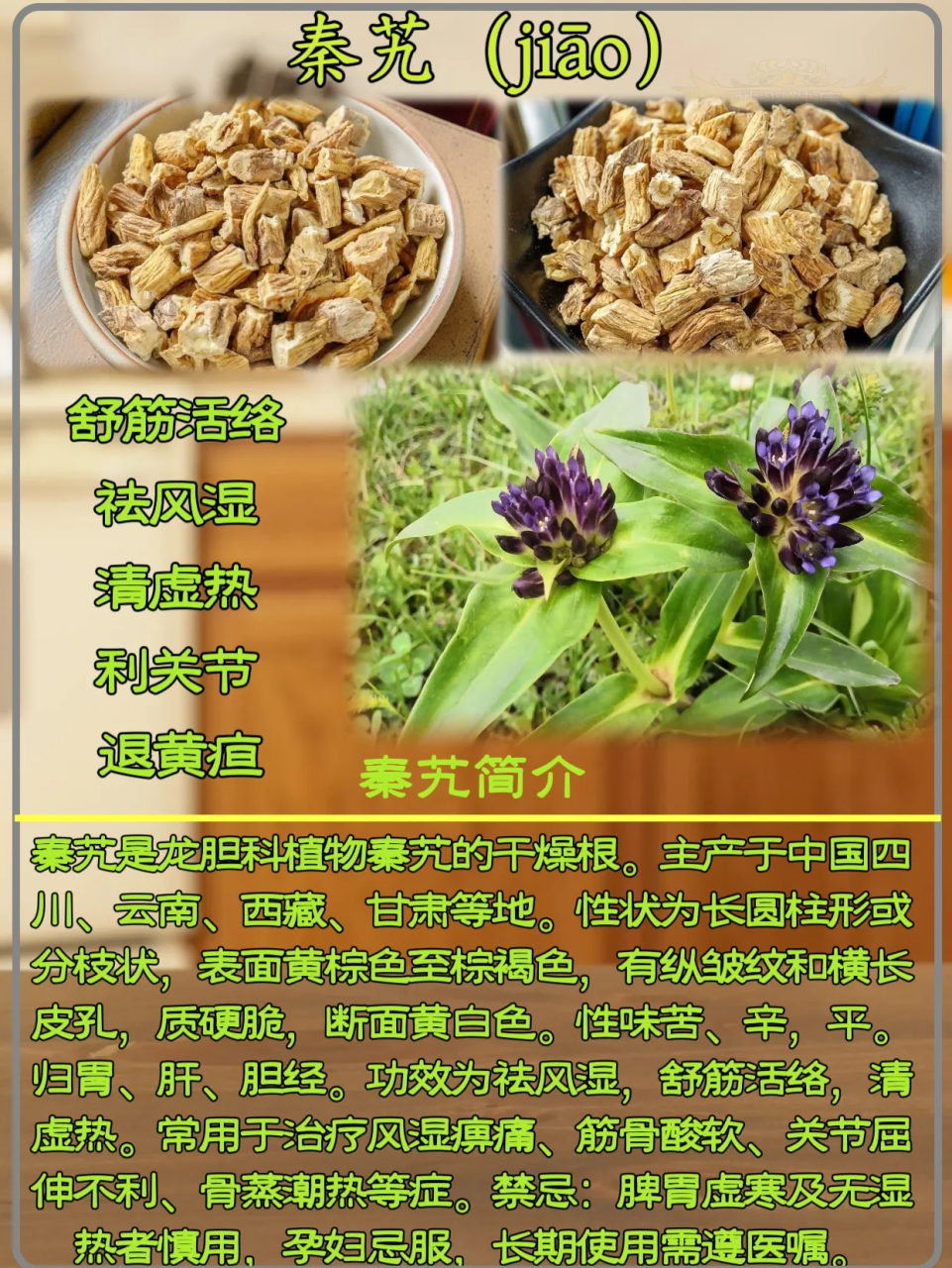 常见用途与使用方法