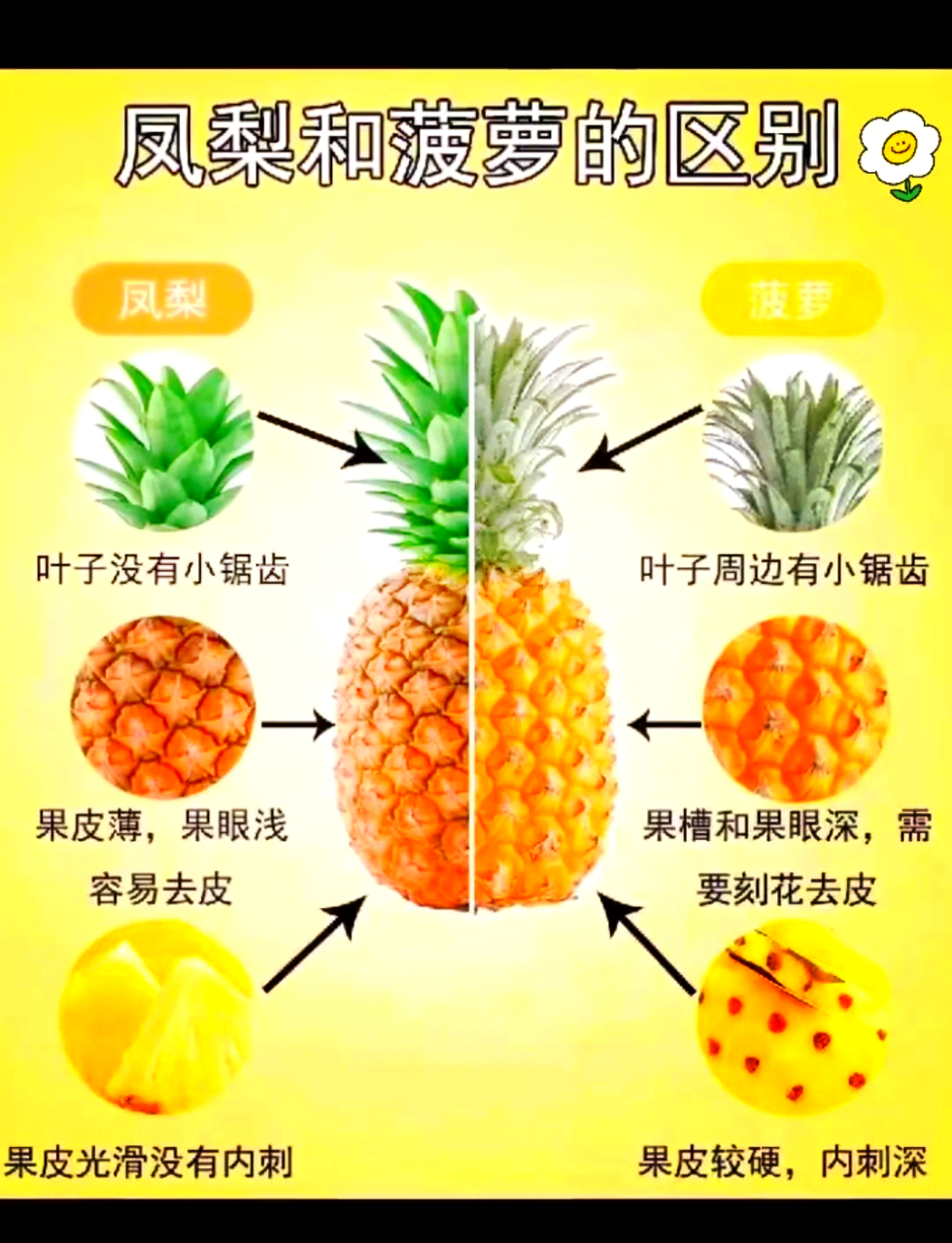 有助消炎和缓解关节疼痛