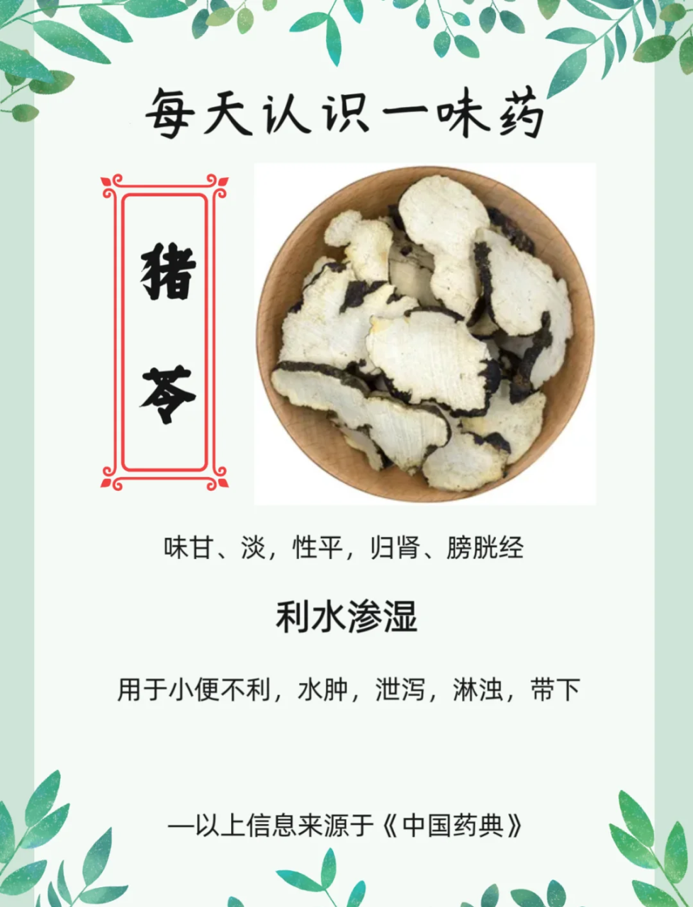 常见用途与搭配