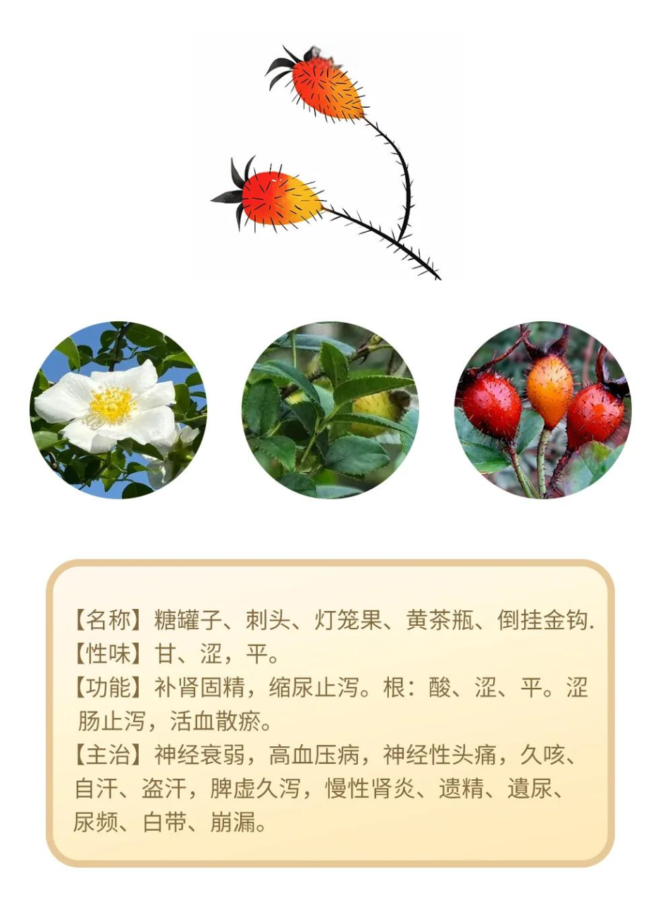 养生功效,全面守护健康