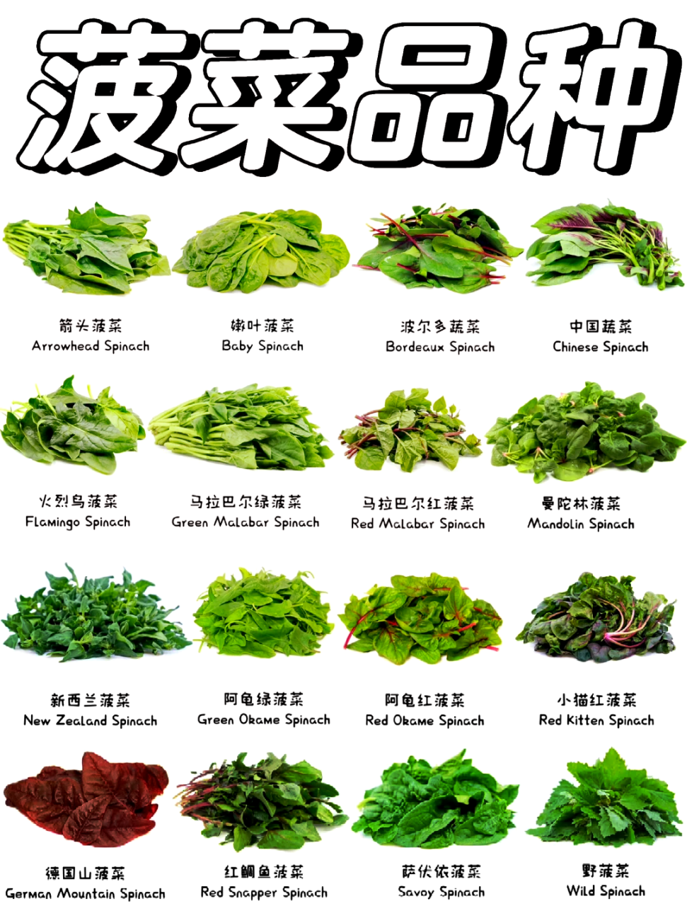 适宜减肥健身的群体