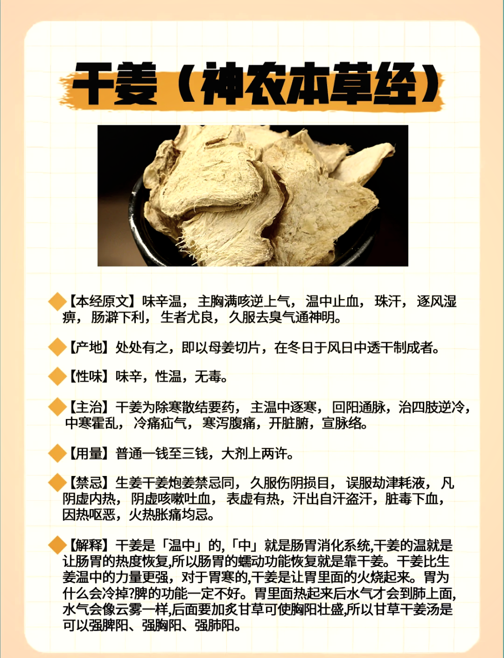 促进消化,缓解胀气