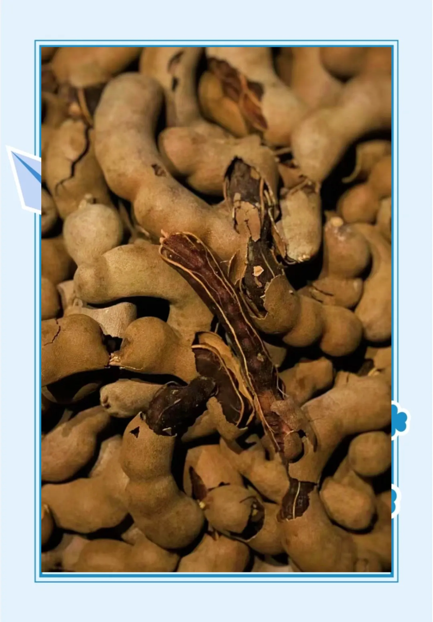 对身体身心健康有益处