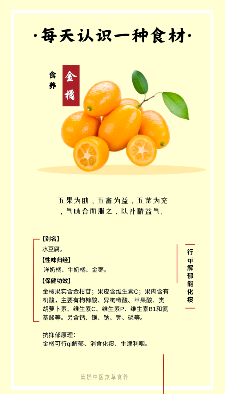 促消化,改善肠道身心健康