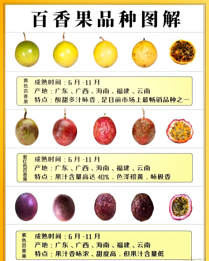 促进消化,改善肠道健康