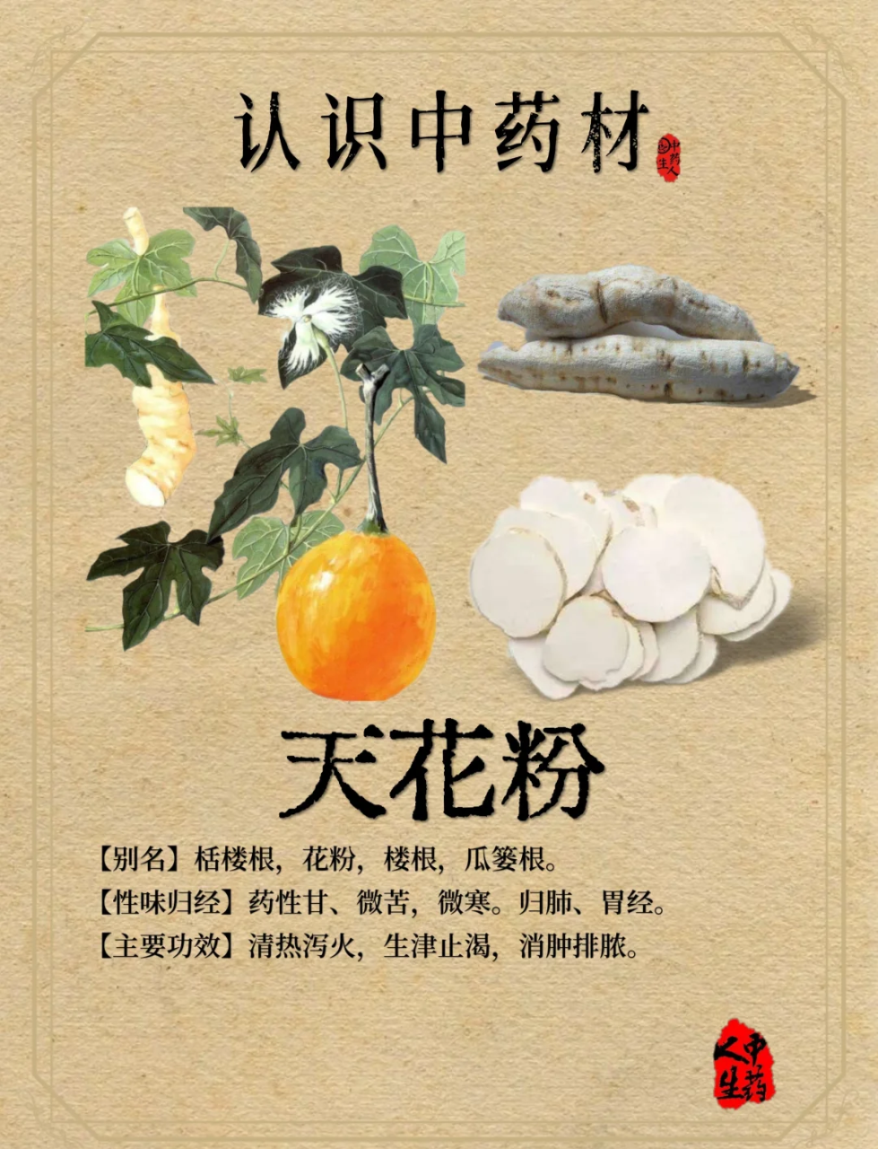 日常生活中的常见用途