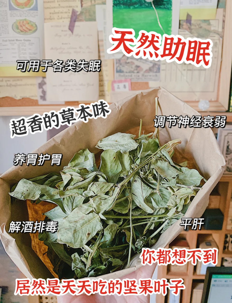 如何食用花生叶