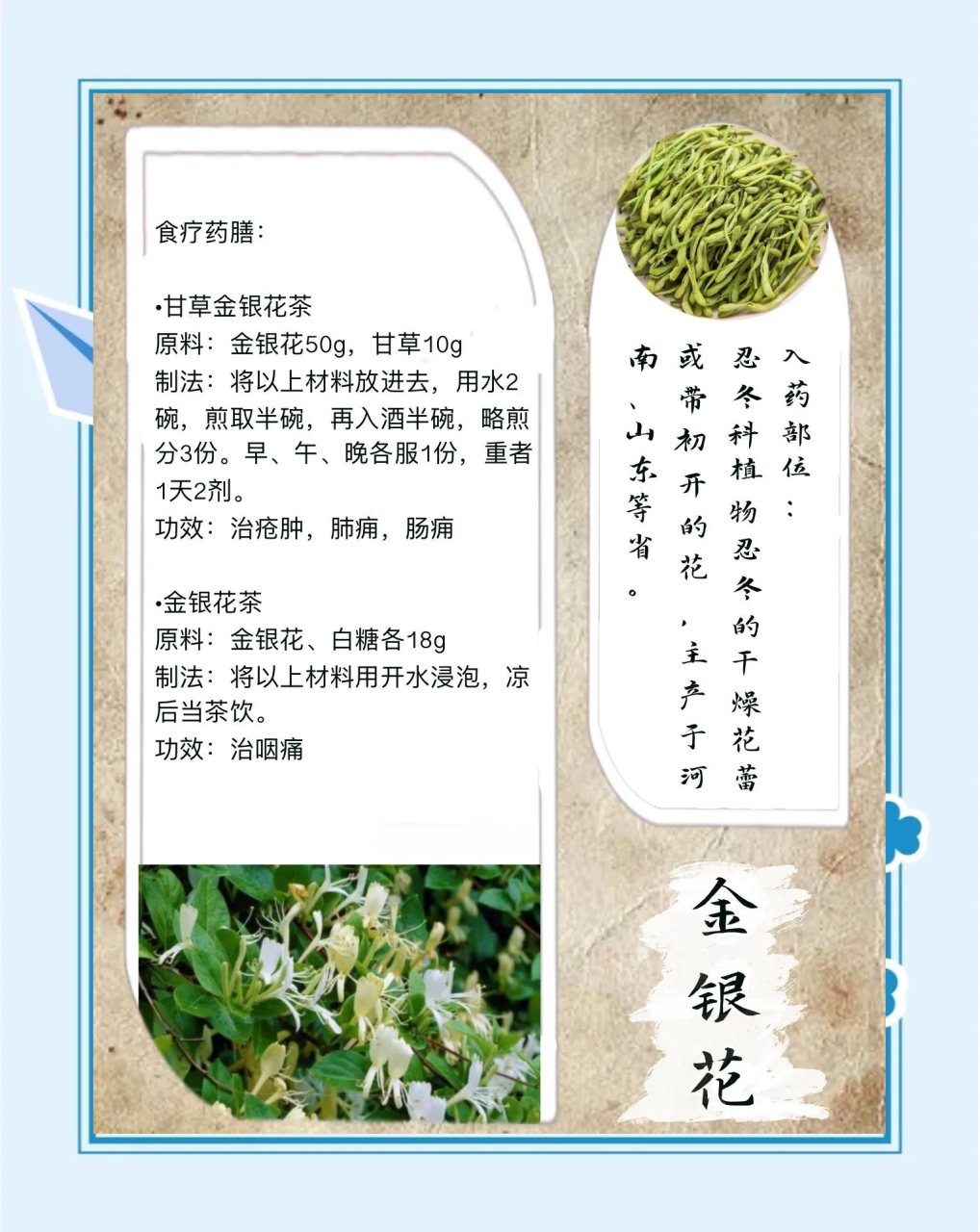 日常运用简单方便