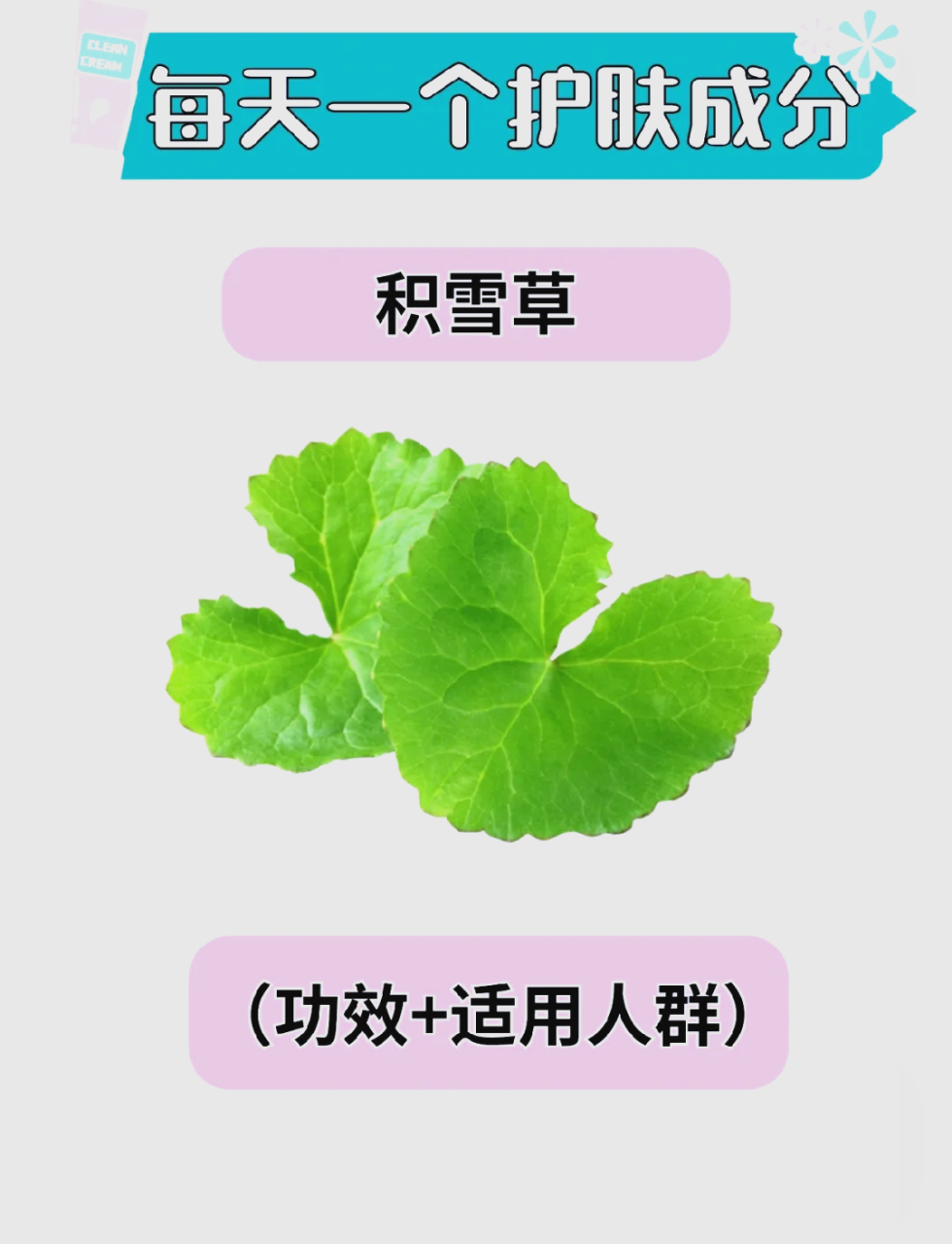 多方面的健康益处
