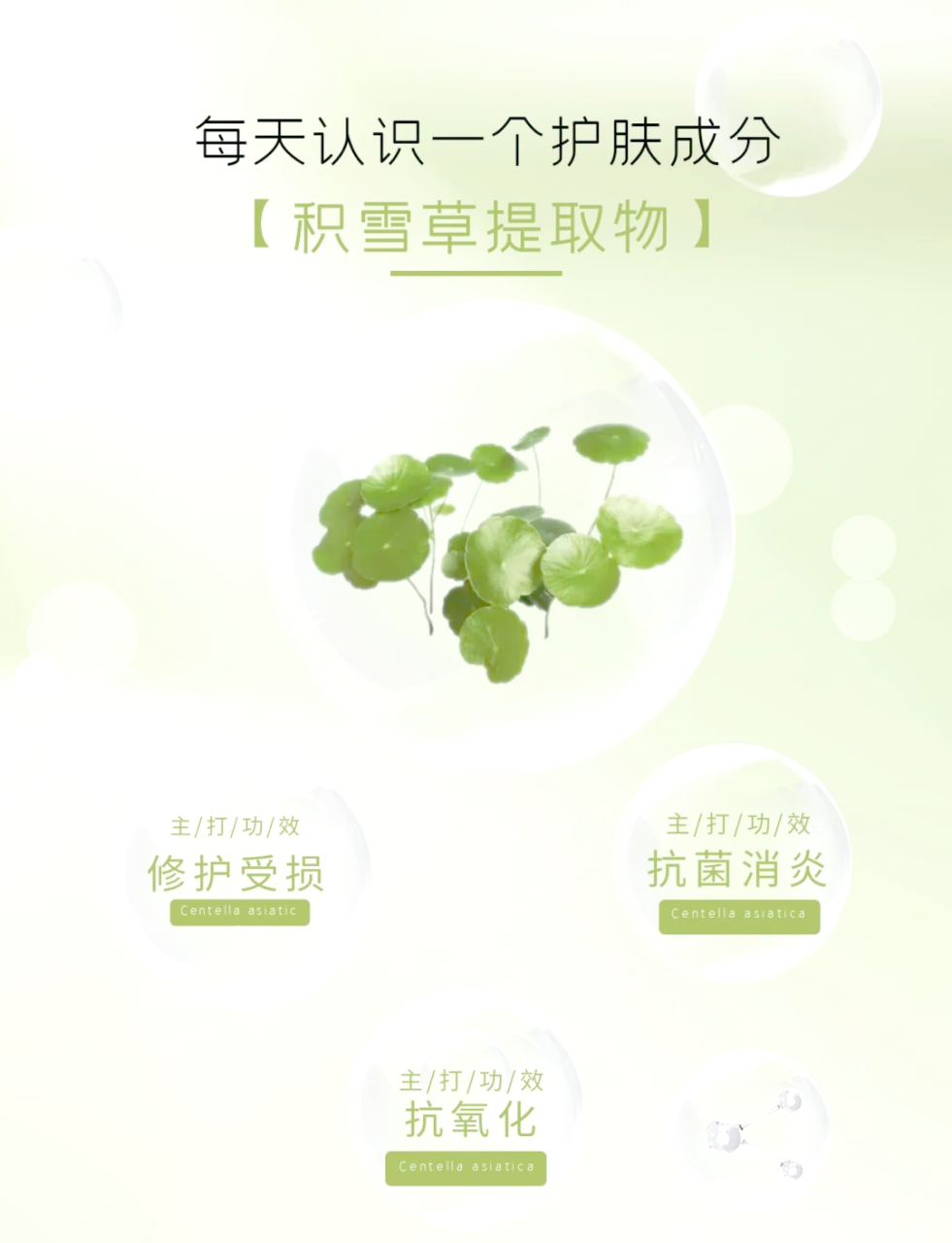 自然的力量不容忽视