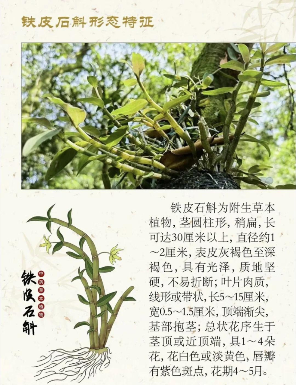 食用方式多样,方便融入生活