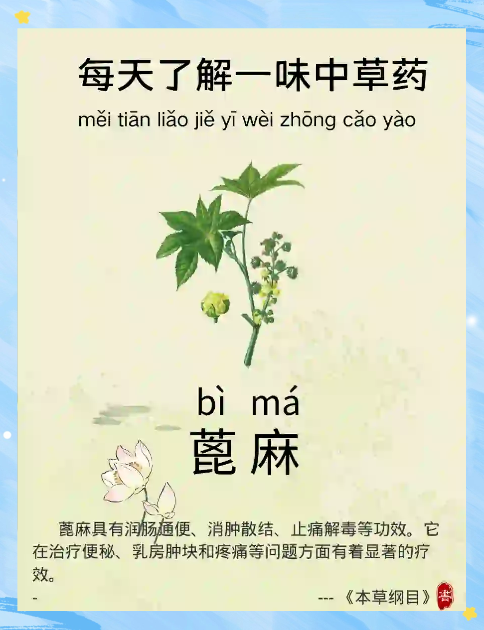 安全与注意事项