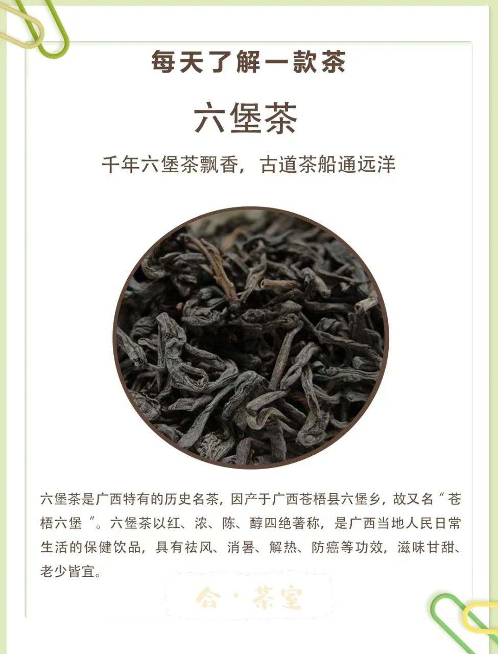 如何选择优质的黑茶?