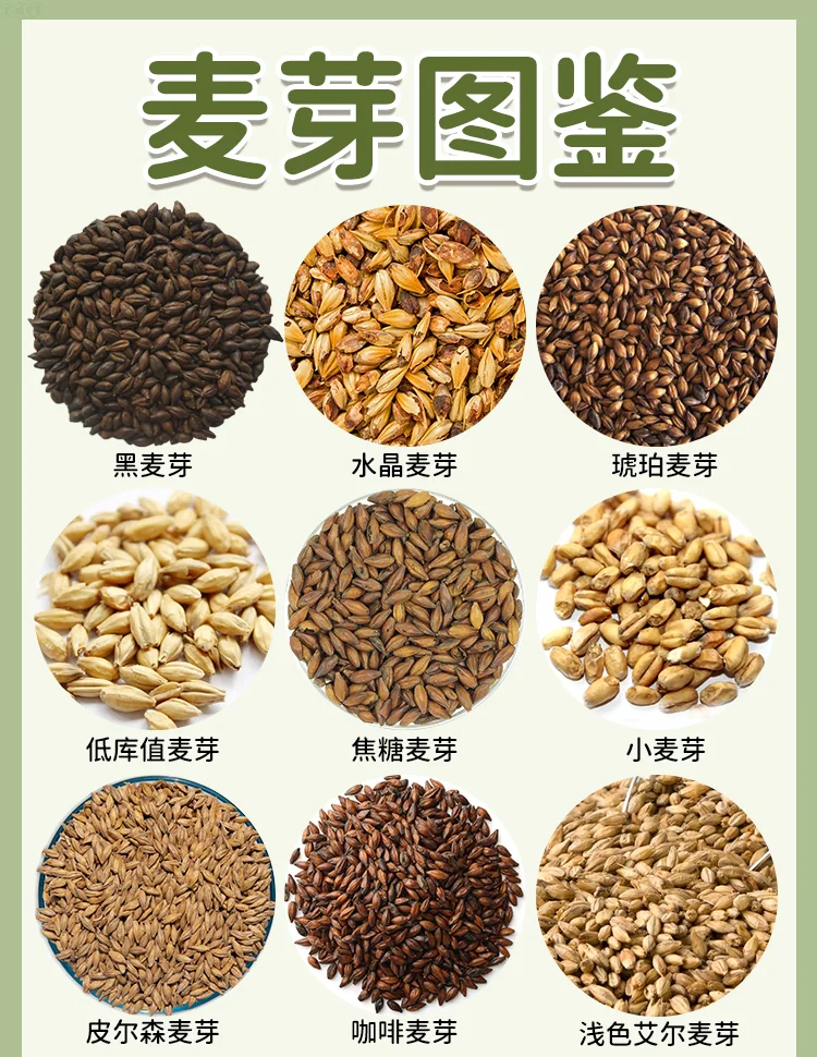 麦芽对健康的多重好处