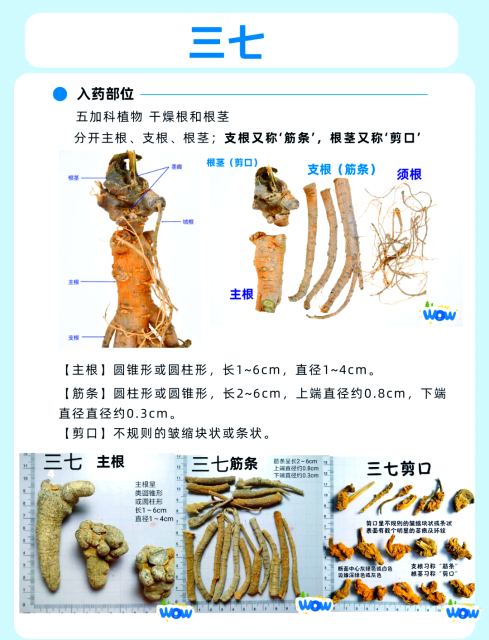 减少血压血脂,预防心血管疾病