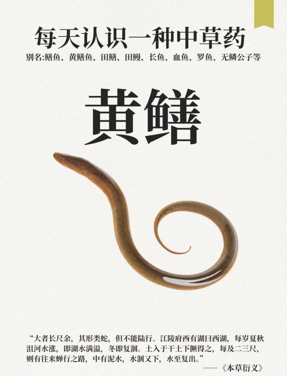 调节血糖,维护心脑血管疾病