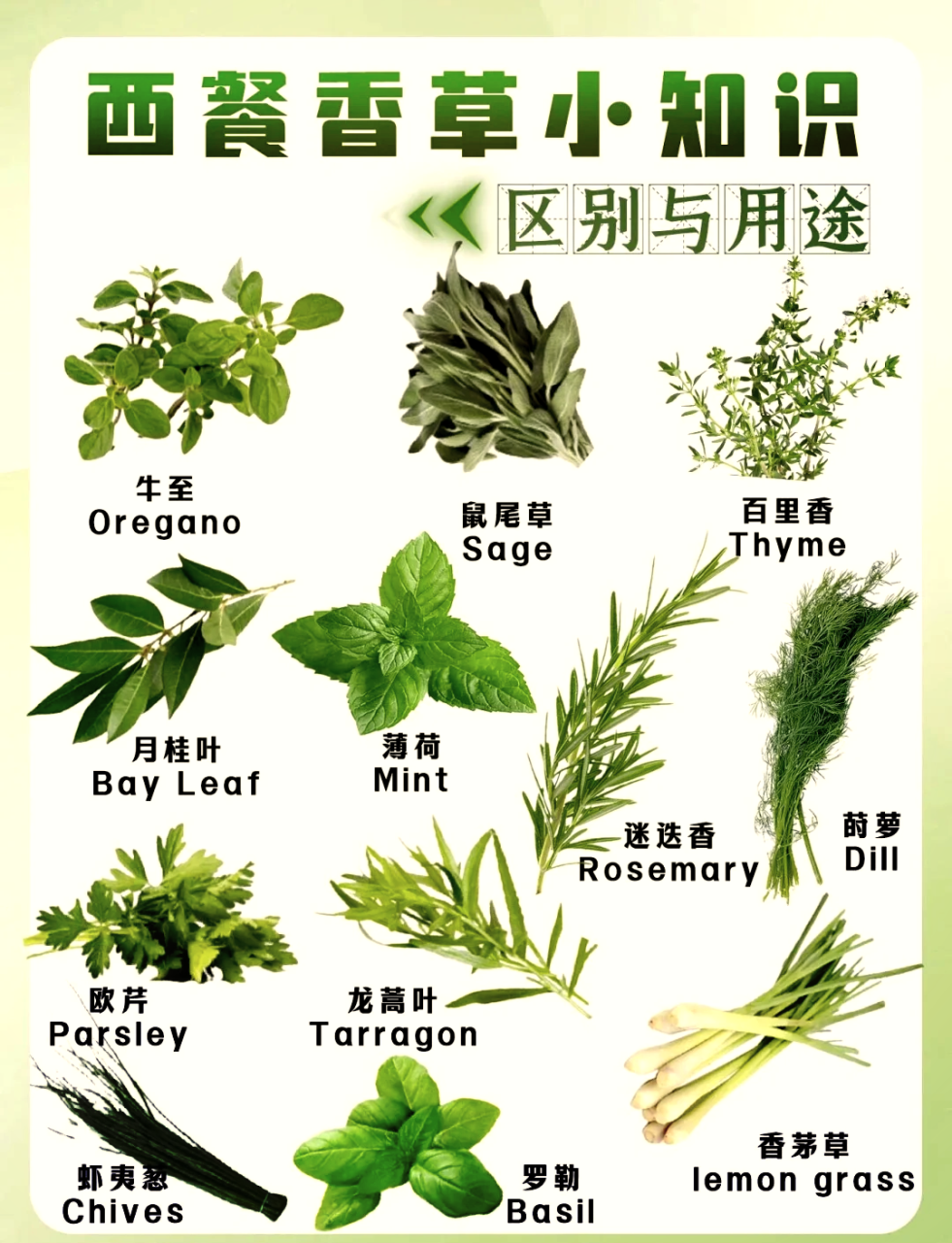 四、日常生活中的小妙用