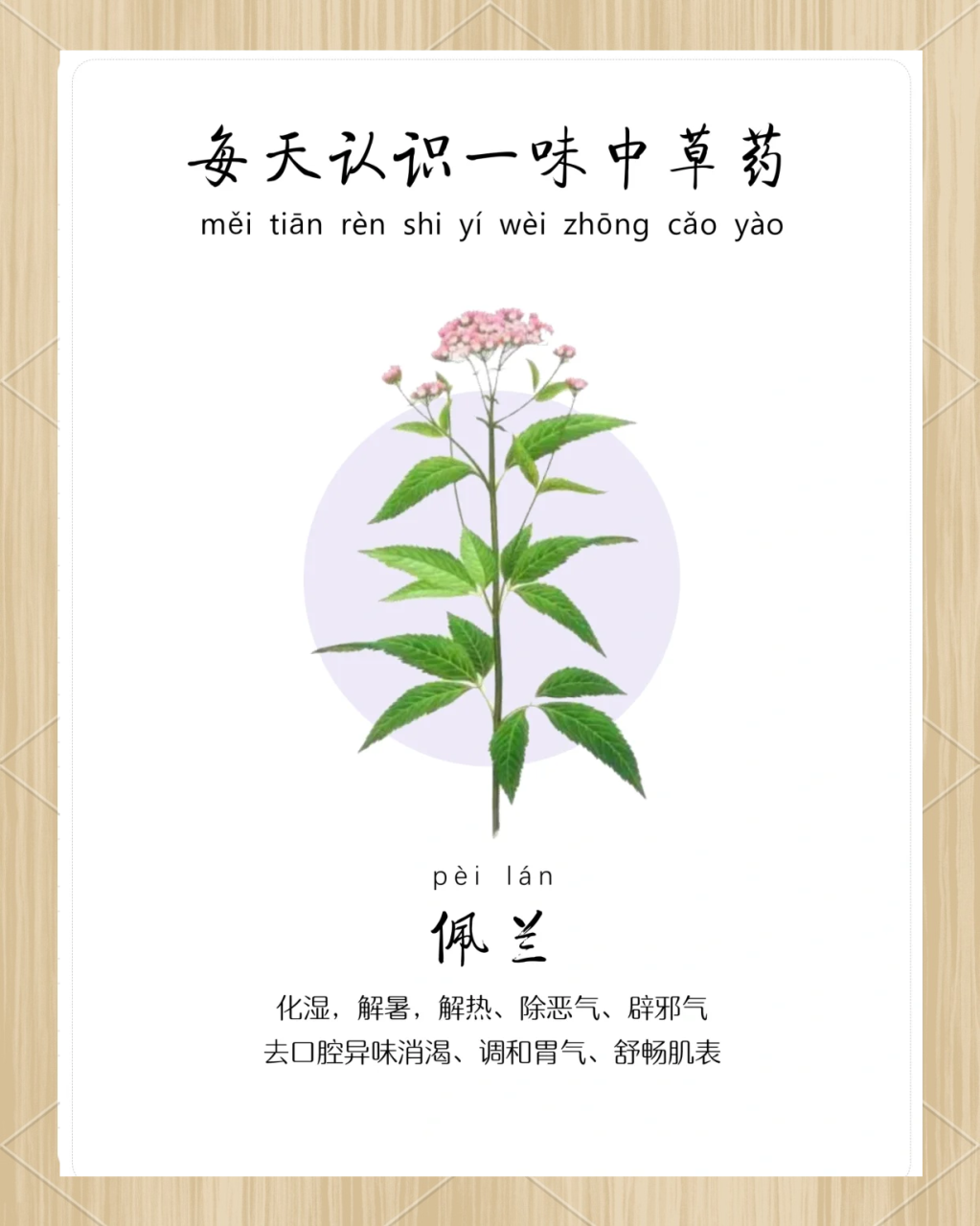 疏通经络,调理气血