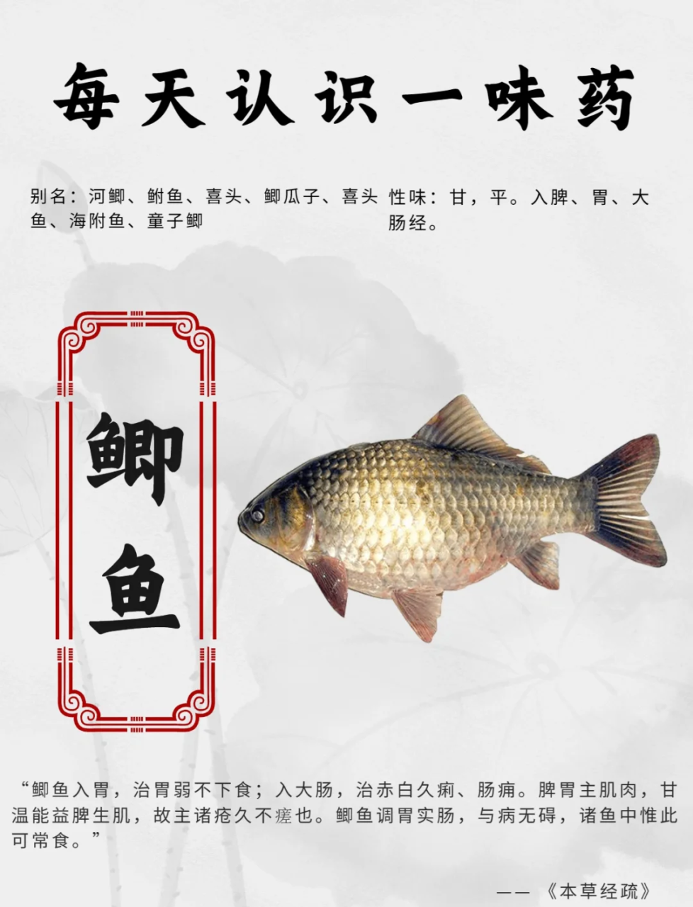 小贴士:如何让鲫鱼汤更鲜美?