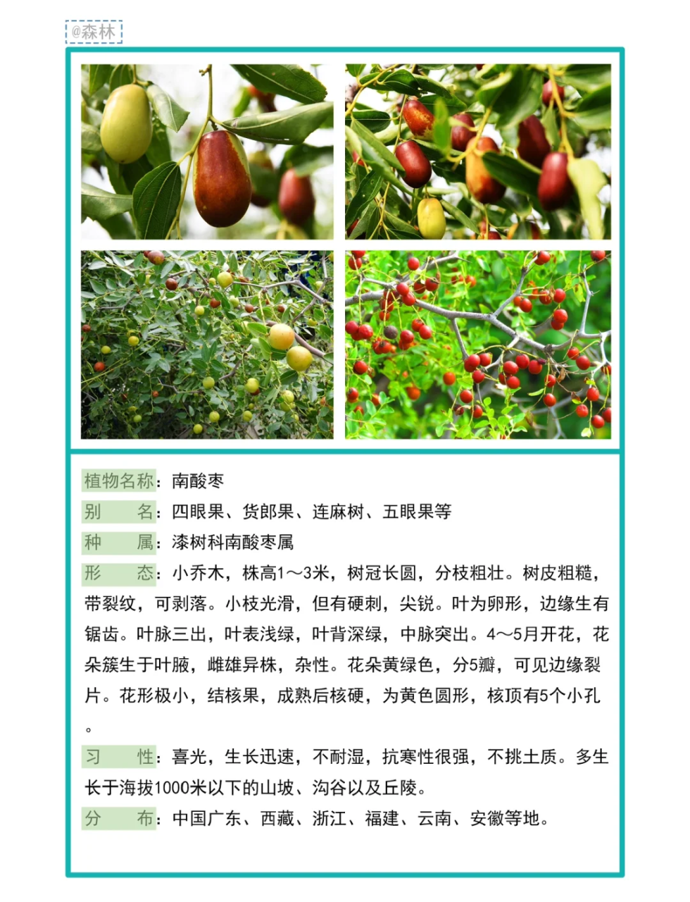 多方面的健康益处