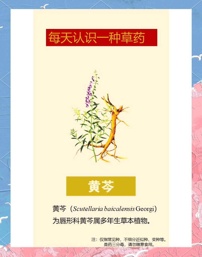 抗氧化和养肝功效