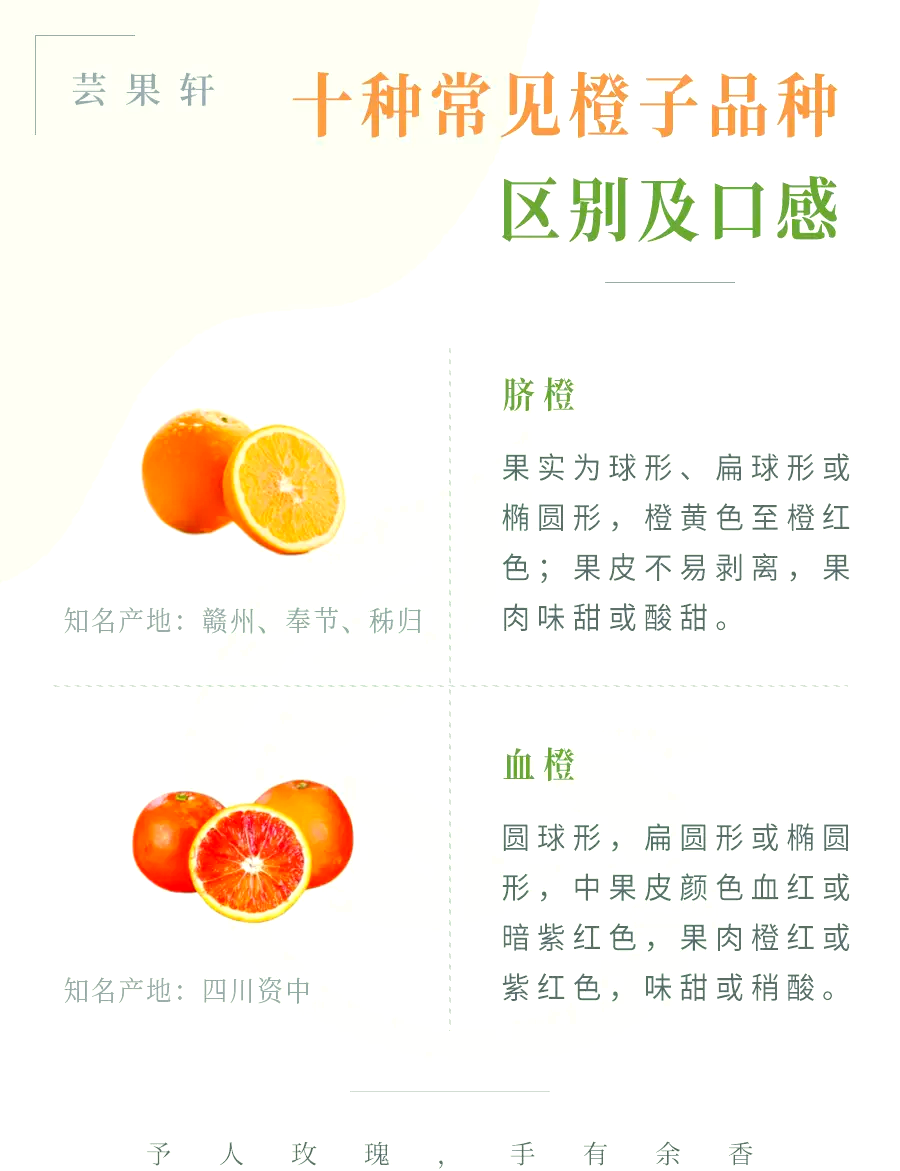 抗氧化，延缓衰老